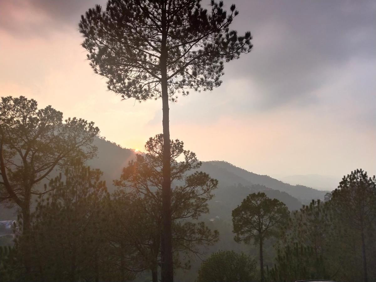 Pine Villa Kasauli Exterior foto